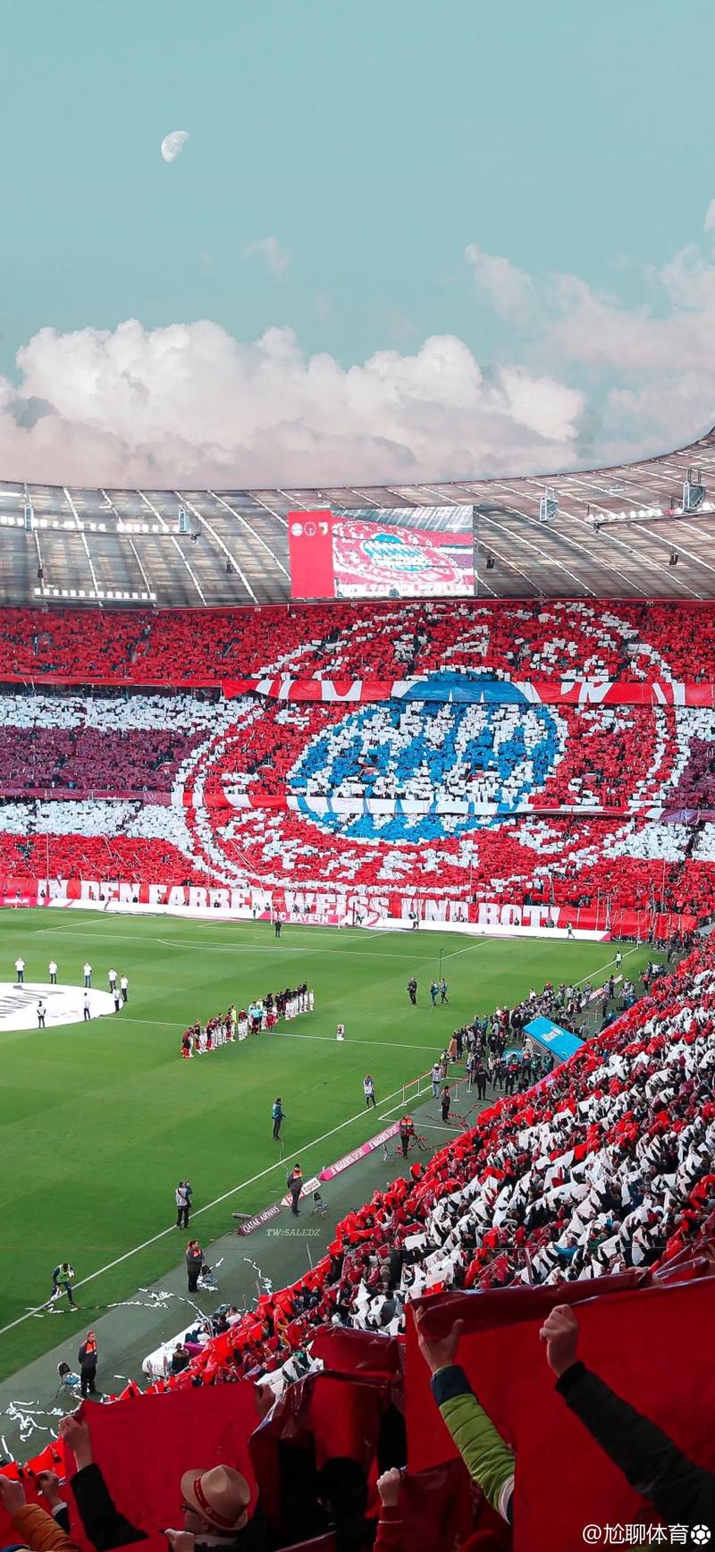 篮球篮网球队训练成果展示